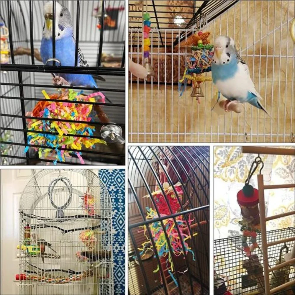 N/A 🧿🦜for small